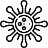 Human Papiloma Virus (HPV)